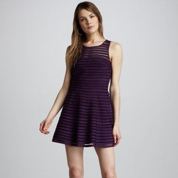 Parker Mesh Stripe Fit and Flare Purple Dress - Picture 1 of 8
